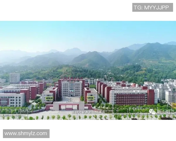 重磅专题：西安乒乓球队如何通过阵地战革新提升竞技水平与团队协作能力